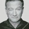 Black And White Robin Williams diamond painting