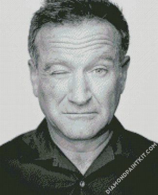 Black And White Robin Williams diamond painting