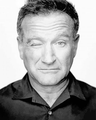 Black And White Robin Williams diamond painting