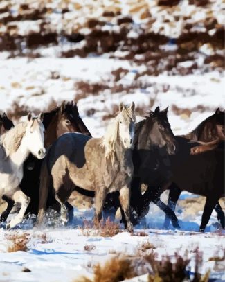 Black And White Brumby Flock diamond painting