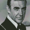 Black And White James Bond Sconnery diamond painting