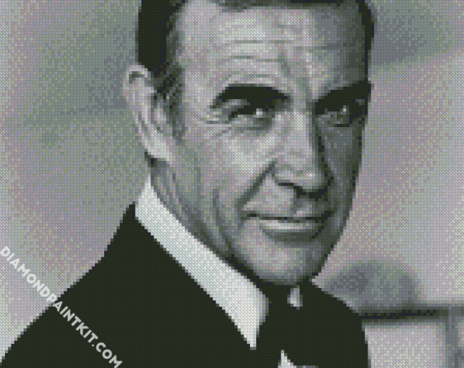 Black And White James Bond Sconnery diamond painting