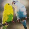 Blue And Green Budgerigars diamond painting