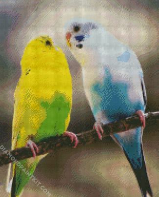 Blue And Green Budgerigars diamond painting