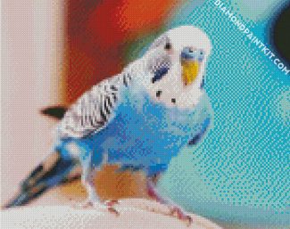 Blue Bird Budgerigar diamond painting