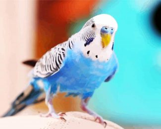 Blue Bird Budgerigar diamond painting