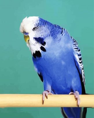 Blue Budgerigar diamond painting