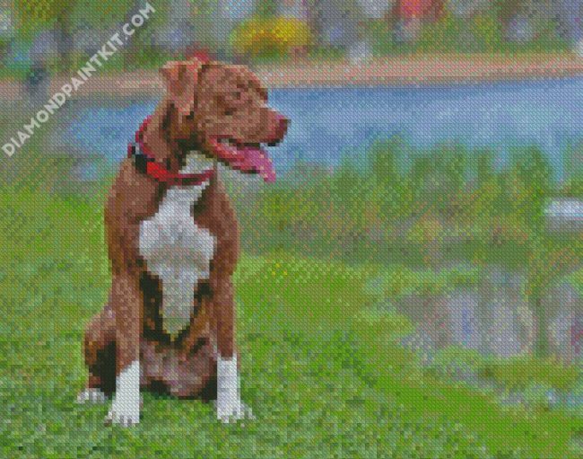 Brown Pitbull Pet diamond painting