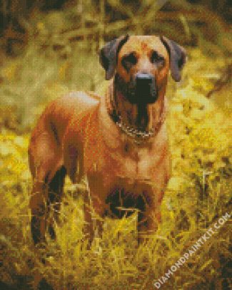 Brown Rhodesian Rigeback diamond painting