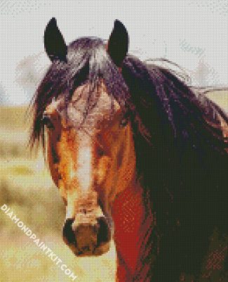 Brown Brumby Horse diamond painting