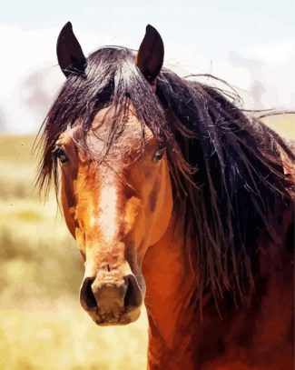 Brown Brumby Horse diamond painting