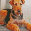 Brown Dog Airedale Terrier diamond painting