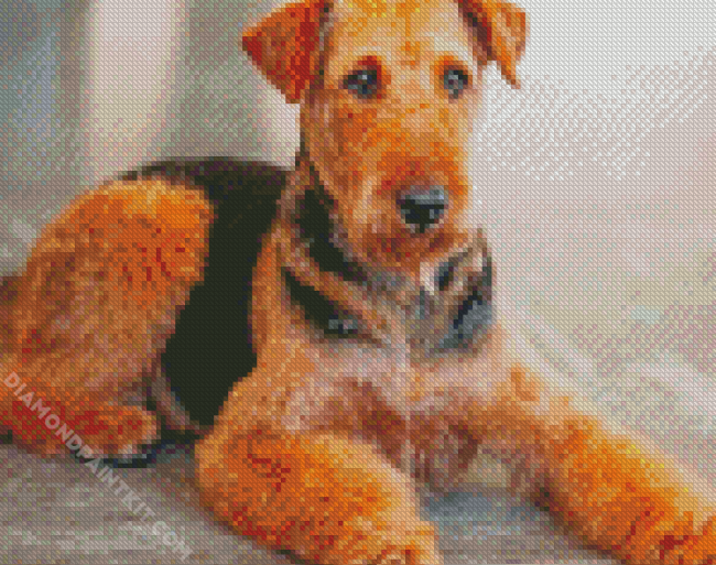 Brown Dog Airedale Terrier diamond painting