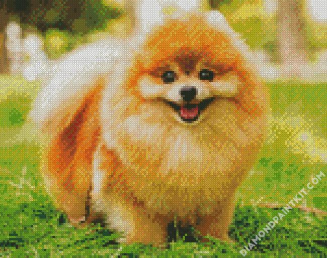 Brown Pomeranian diamond painting