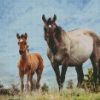 Brumbies diamond painting