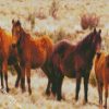 Brumbies Brown Flock diamond painting