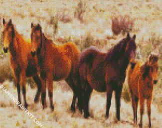 Brumbies Brown Flock diamond painting