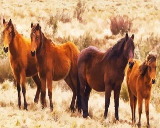 Brumbies Brown Flock diamond painting