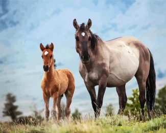 Brumbies diamond painting