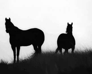 Brumbies Silhouette diamond painting