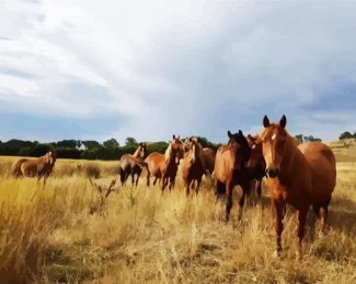 Brumby Flock diamond painting