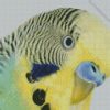 Budgerigar Head diamond painting