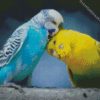 Budgerigar Lovers diamond painting