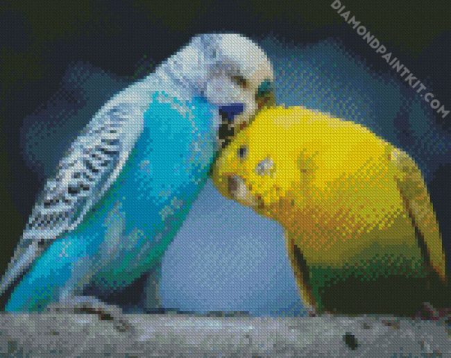 Budgerigar Lovers diamond painting