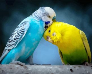 Budgerigar Lovers diamond painting