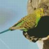 Budgerigar On Tree diamond painting