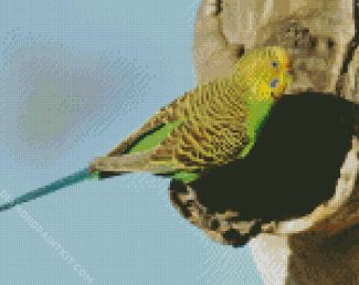 Budgerigar On Tree diamond painting