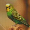 Budgerigar Parakeet diamond painting