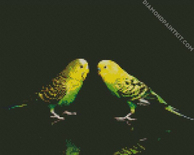 Budgerigars Bird diamond painting