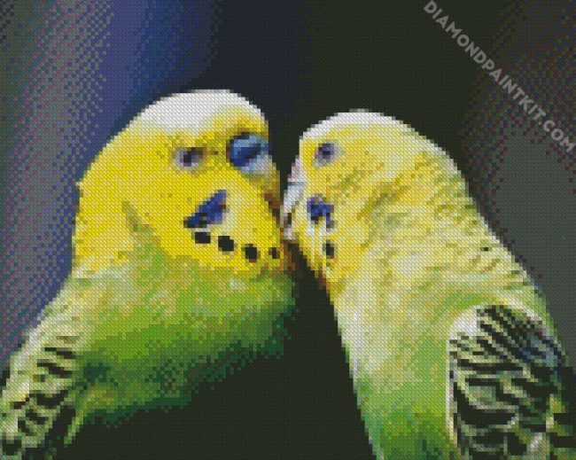 Budgerigars In Love diamond painting