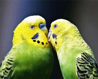 Budgerigars In Love diamond painting