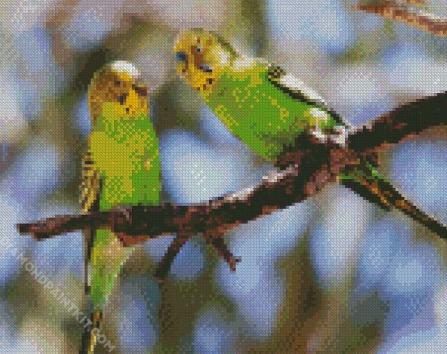 Budgerigars On A Branch diamond painting