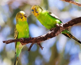 Budgerigars On A Branch diamond painting