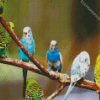 Budgies On Branch diamond painting