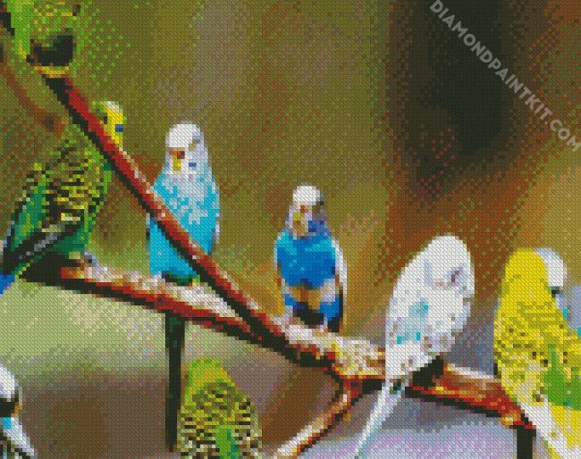 Budgies On Branch diamond painting