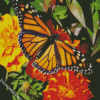 Butterfly On Marigolds diamond painting