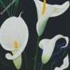 Calla Lily Plants diamond painting