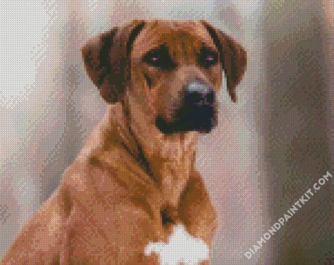 Close Up Rhodesian Ridgeback diamond painting