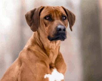 Close Up Rhodesian Ridgeback diamond painting