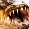 Close Up Tigerfish diamond painting