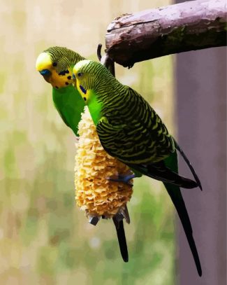 Colorful Budgerigars diamond painting