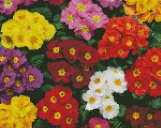 Colorful Primroses diamond painting