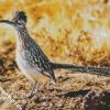 Cool Roadrunner Bird diamond painting