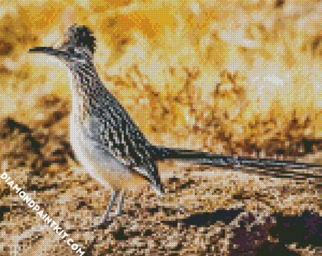 Cool Roadrunner Bird diamond painting