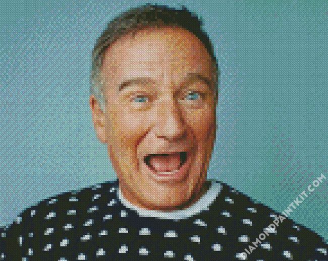 Cool Robin Williams diamond painting