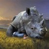 Crying Rhinoceros diamond painting